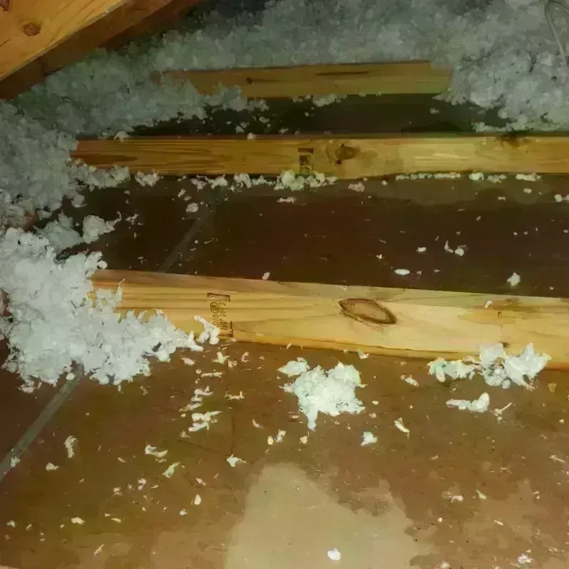 Attic Water Damage in Steilacoom, WA